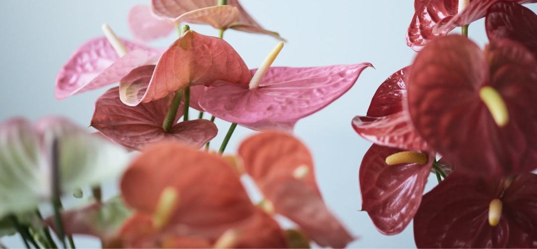 CONCEPT 大切に想うこと