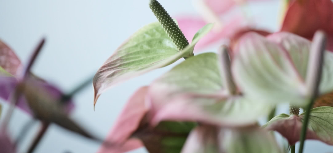 CONCEPT 大切に想うこと