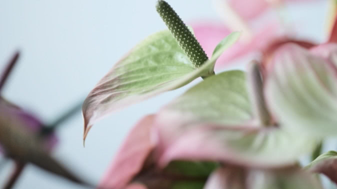 CONCEPT 大切に想うこと