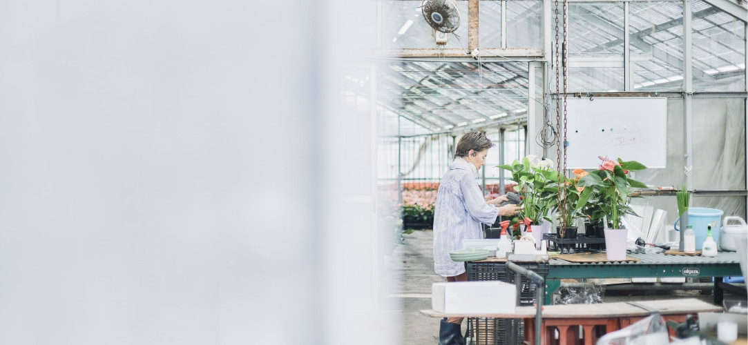 SERVICE わたしたちにできること